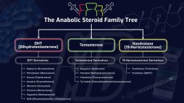 The-Anabolic-Steroid-Family-Tree-YT-Thumbnail.jpg