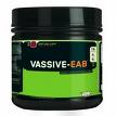 Vassive-EA8