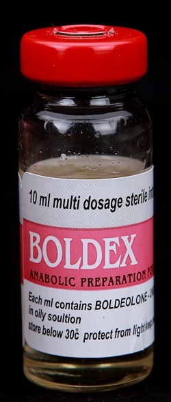 Boldex