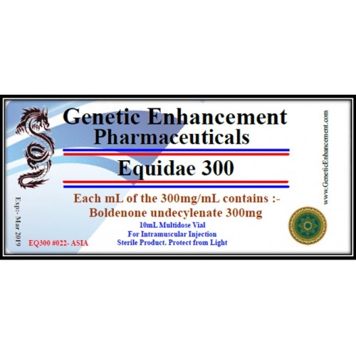 Equidae 300