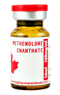 Methenolone Enanthate 10 ml 100 mg