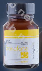 Stanoforte 25