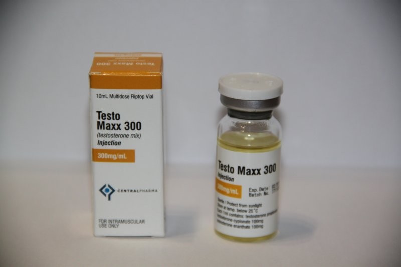 Testo Maxx 300