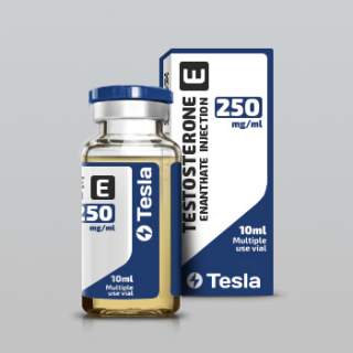 Testosteron E 250