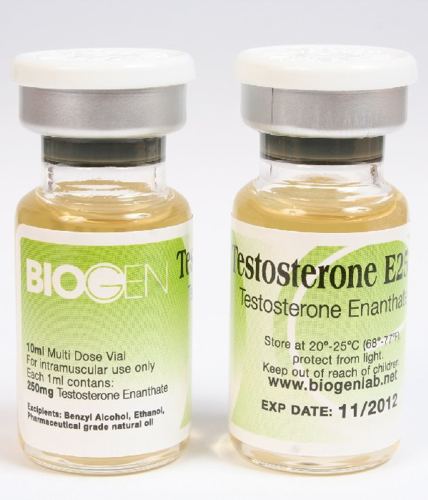 Testosterone E250