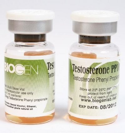 Testosterone PP100