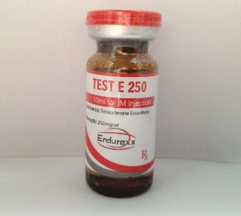Test E 250