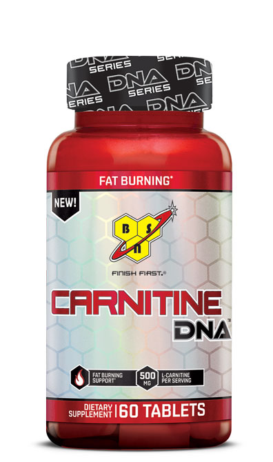 CARNITINE DNA