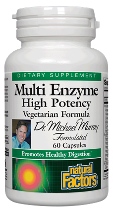 Multi Enzyme High Potency Vegetarian Formula