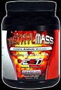 Methyl Mass