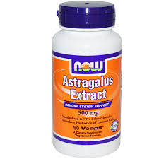 Astragalus Extract 500 mg - 90 Veg Capsules