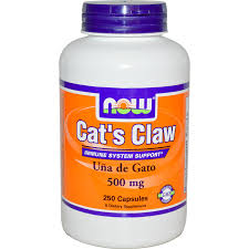 Cat&#039;s Claw 500 mg - 250 Capsules