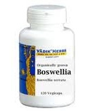 Boswellia