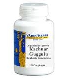 Kachnar Guggulu