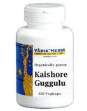 Kaishore Guggulu