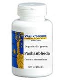 Pashanbheda