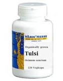 Tulsi