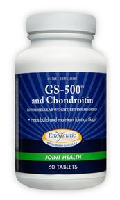 GS-500 Chondroitin