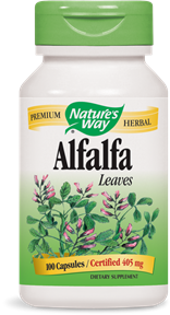 Alfalfa Leaves