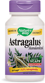 Astragalus Standardized