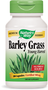 Barley Grass Young Harvest