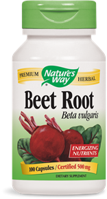 Beet Root Beta vulgaris