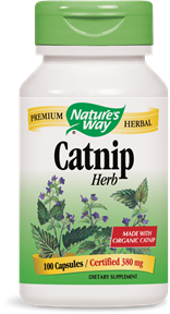 Catnip Herb