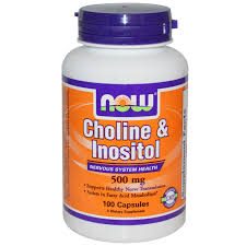 Choline &amp; Inositol 500 mg - 100 Capsules
