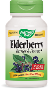 Elderberry Berries &amp; Flowers