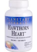 Hawthorn Heart