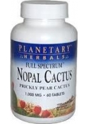 Nopal Cactus, Full Support