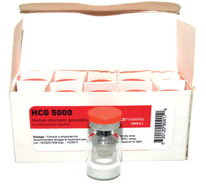 HCG 5000