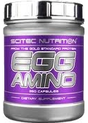 Egg Amino