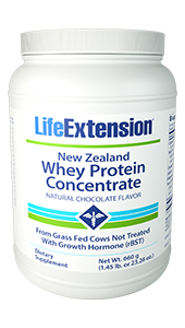 New Zealand Whey Protein Concentrate, Natural Chocolate Flavor