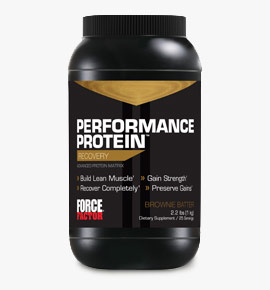 Performance Protein