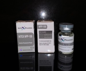 Intex NPP 100mg/ml